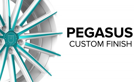 Pegasus - Custom Finish