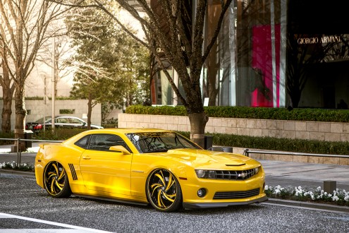 Chevy Camaro on LF-744 Twister